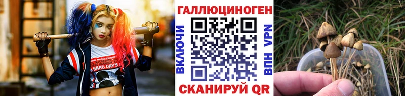 Галлюциногенные грибы Cubensis  сколько стоит  Дорогобуж 