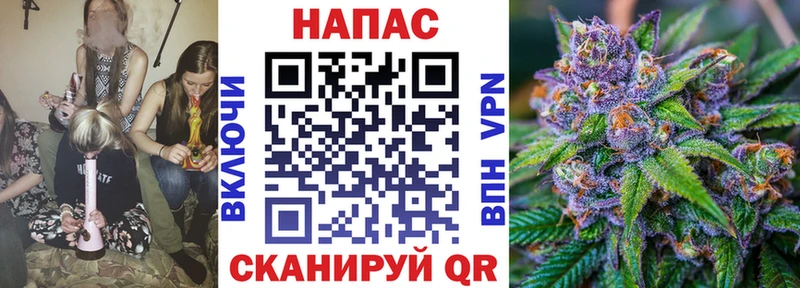 купить наркоту  Дорогобуж  МАРИХУАНА план 